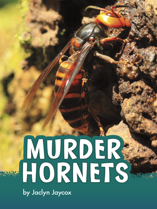 Title details for Murder Hornets by Jaclyn Jaycox - Wait list